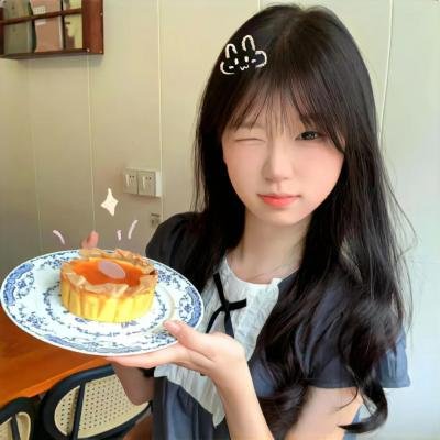 理想主义者